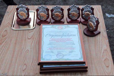 Фестиваль 2012