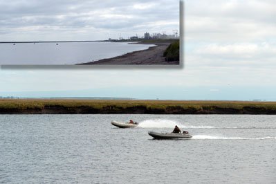 Фестиваль 2012