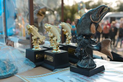 Фестиваль 2012