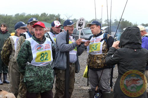 Фестиваль 2013
