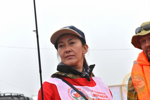 Фестиваль 2013