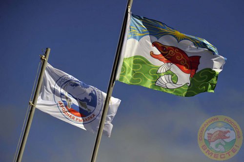 Фестиваль 2013