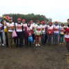 Фестиваль 2013