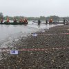 Фестиваль 2013