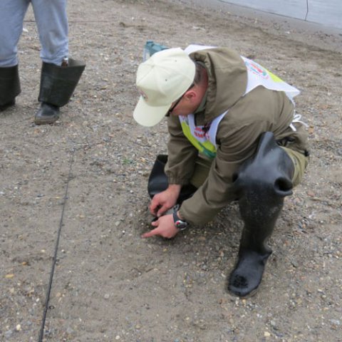 Фестиваль 2014