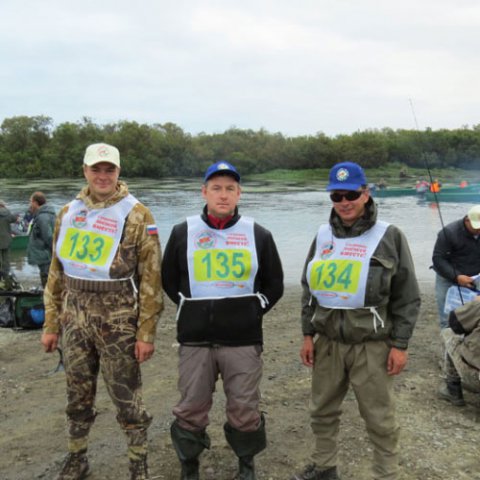 Фестиваль 2014