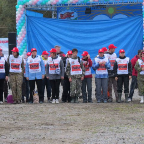 Фестиваль 2014