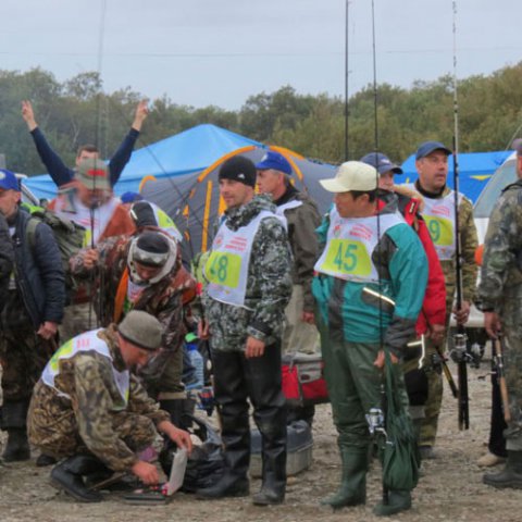 Фестиваль 2014