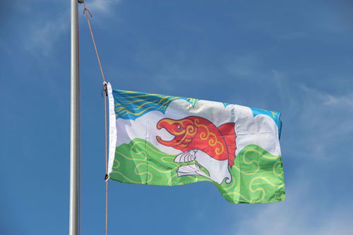 Фестиваль 2014