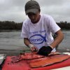 Фестиваль 2014