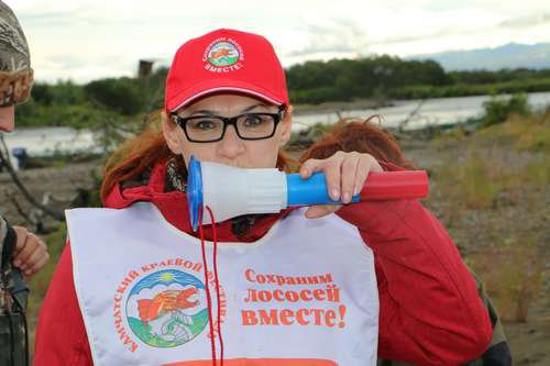 Фестиваль 2015