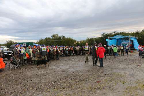 Фестиваль 2015